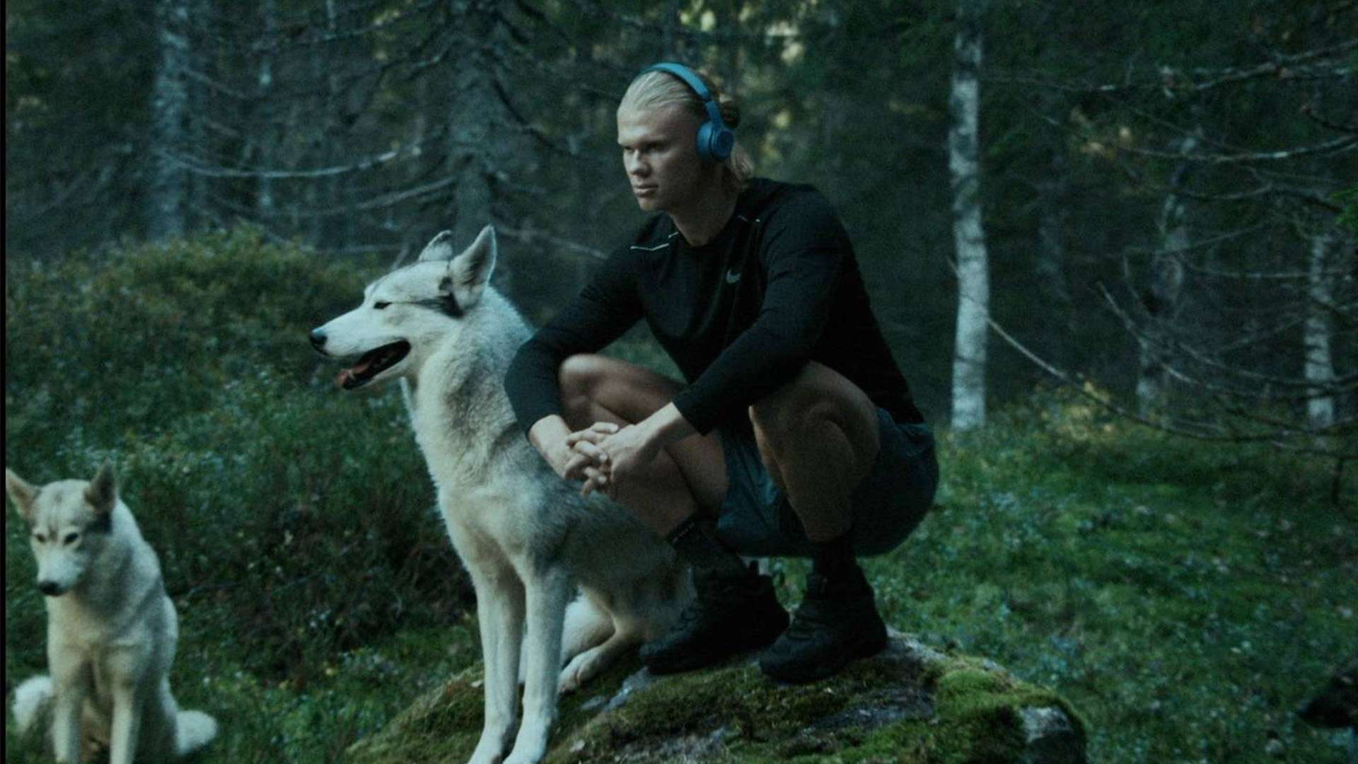 可挑剔的扣 可挑剔的扣