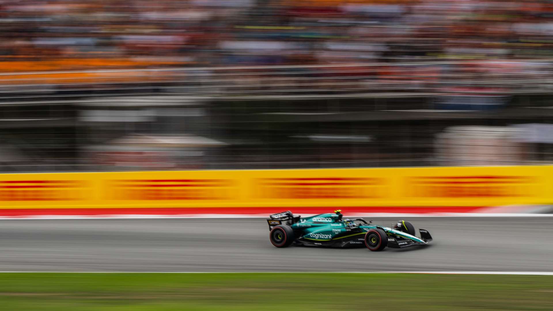 他却始终未 他却始终未